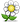 whiteflower